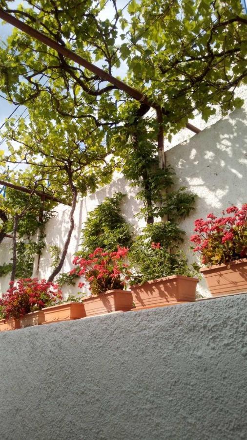 Appartamento Milojka Senj  Esterno foto