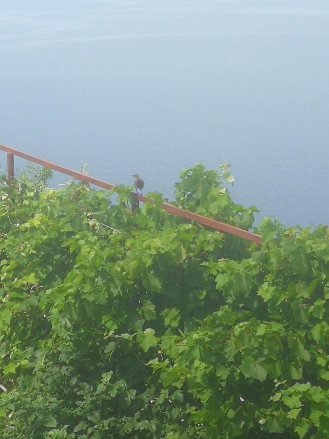 Appartamento Milojka Senj  Esterno foto