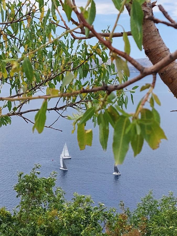 Appartamento Milojka Senj  Esterno foto