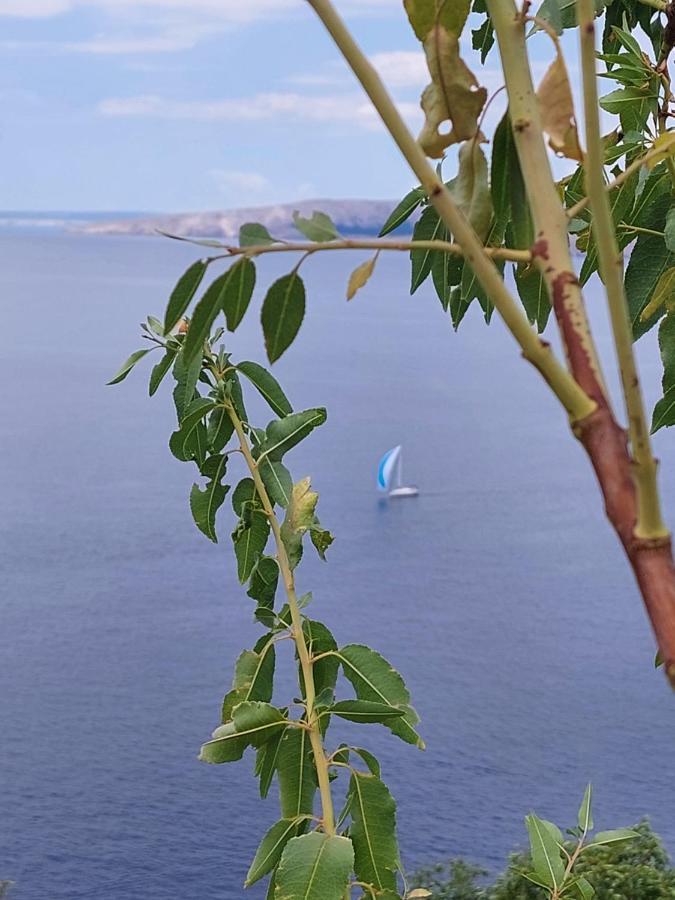 Appartamento Milojka Senj  Esterno foto